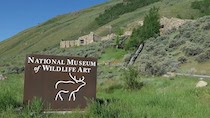 The National Museum of Wildlife Art