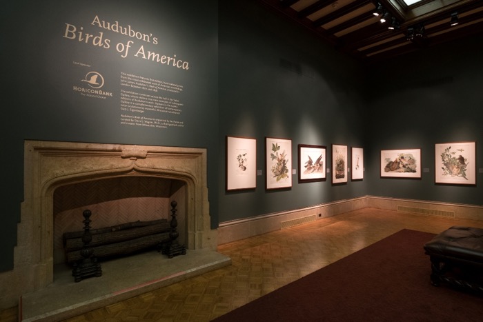 Audubon Exhibition Installation Photo