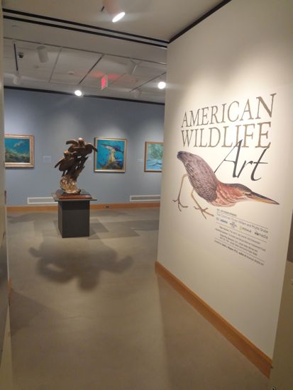 AMERICAN WILDLIFE ART Exhibition Photo