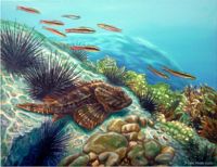 Sea of Cortez I featured artwork