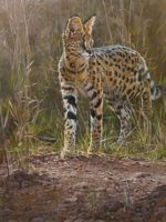 FELINE FINE II featured artwork