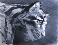 FELINE FINE II featured artwork