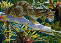 FELINE FINE II featured artwork