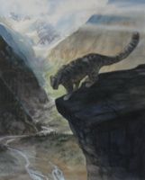 FELINE FINE II featured artwork