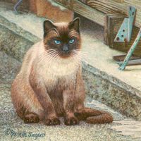 FELINE FINE II featured artwork