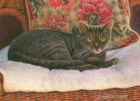 FELINE FINE II featured artwork