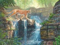 FELINE FINE II featured artwork