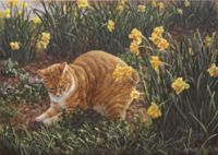 FELINE FINE II featured artwork