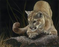 FELINE FINE II featured artwork