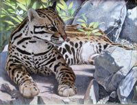 FELINE FINE II featured artwork