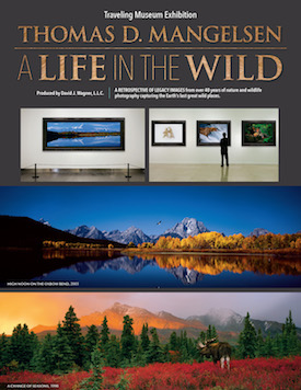 THOMAS D. MANGELSEN: A Life In The Wild Exhibition