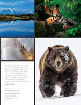 THOMAS D. MANGELSEN: A Life In The Wild Exhibition