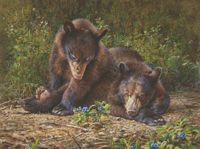 America's Parks I featured artwork