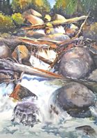 America's Parks I featured artwork