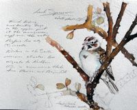 America's Parks I featured artwork