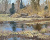 America's Parks I featured artwork