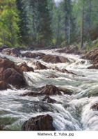 America's Parks I featured artwork