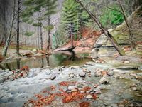 America's Parks I featured artwork