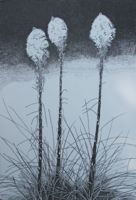 America's Parks I featured artwork