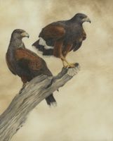 America's Parks I featured artwork