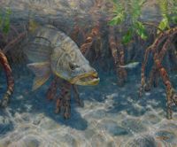 America's Parks I featured artwork