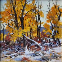 America's Parks I featured artwork