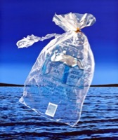 Environmental Impact II featured artwork