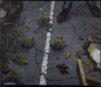 Environmental Impact featured artwork