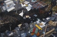 Environmental Impact featured artwork