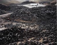 Environmental Impact featured artwork