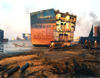 Environmental Impact featured artwork