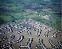 Environmental Impact featured artwork