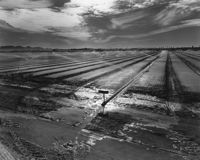 Environmental Impact featured artwork