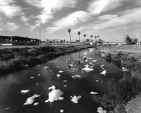 Environmental Impact featured artwork