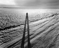 Environmental Impact featured artwork