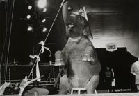 Environmental Impact featured artwork