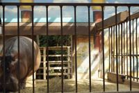 Environmental Impact featured artwork