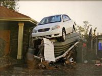 Environmental Impact featured artwork