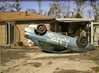 Environmental Impact featured artwork