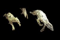 Environmental Impact featured artwork