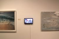 Environmental Impact featured artwork